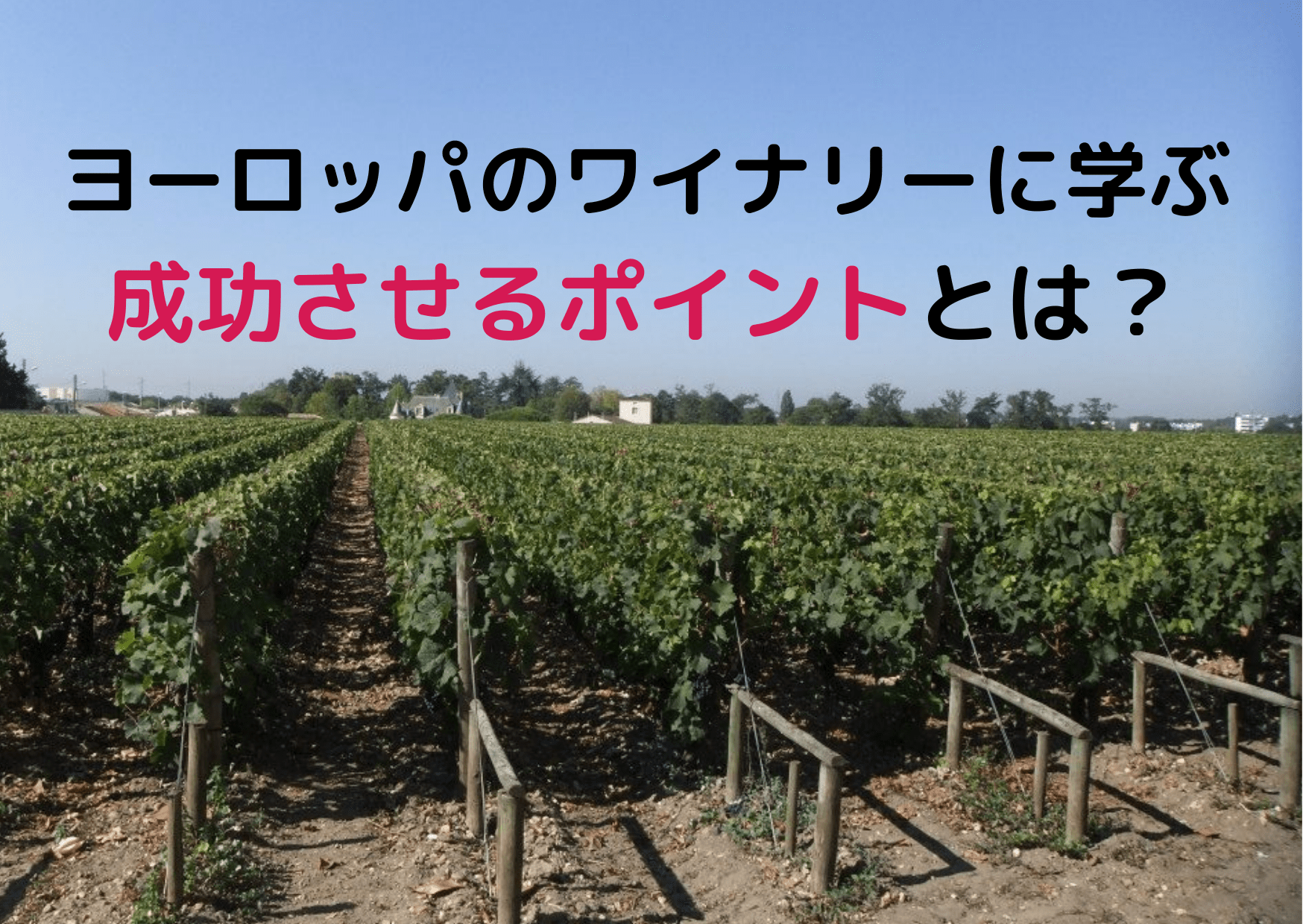 ヨーロッパから学ぶ酒蔵ツーリズムとワイナリーツーリズム